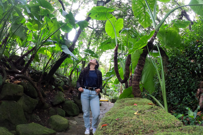 Bogotá: Botanical Garden Sightseeing Tour and Visit to the Paloquemao Market with Fruit Shared Sightseeing Tour + Tickets + Fruit