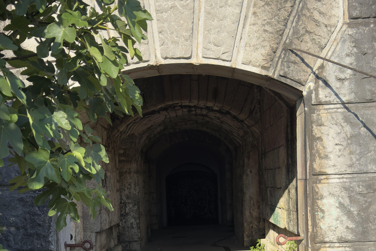 Kotor: Saint Ilija & Fort Goražda ATV & Buggy Adventure Private 3 Hour tour with ATV's, Guide & Instructor