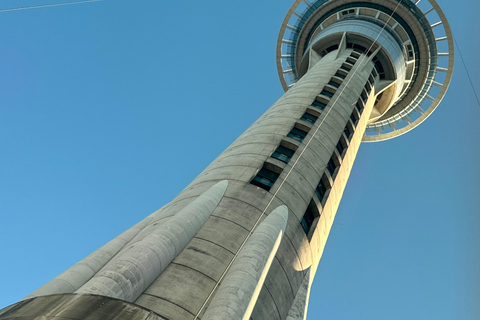 Auckland: SkyRide with Sky Tower Entry Ticket