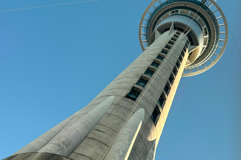 Auckland: SkyRide with Sky Tower Entry Ticket