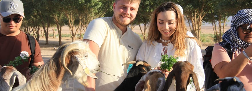 Hurghada : visite d'une ferme dans le désert avec petit-déjeuner au Scorpion Camp