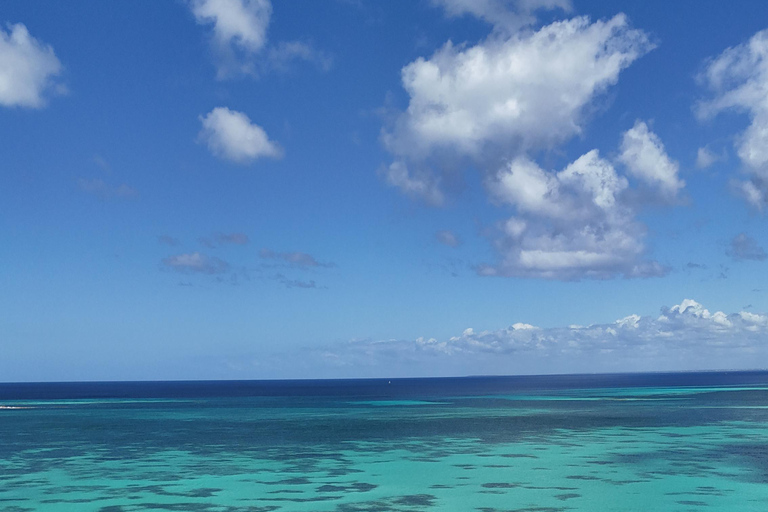 Saona Island: Premium Beach Tour