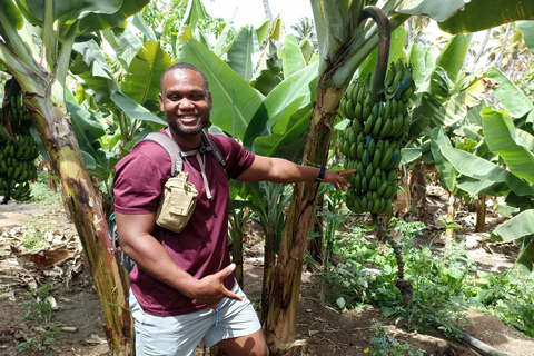 From Praia: Rui Vaz Loop & Jardim Botanico with Picnic Private Tour from Hotels in Rui Vaz