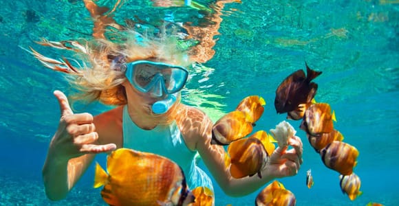 Kizimkazi Snorkeling and Dolphin full-day tour with BBQ