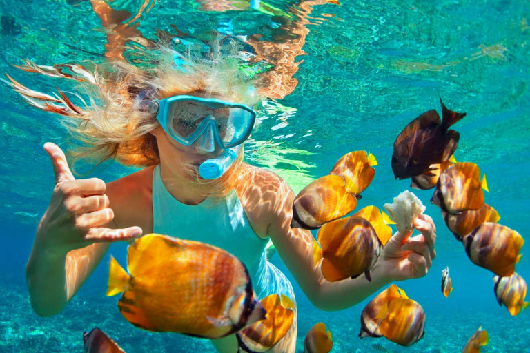 Kizimkazi Snorkeling and Dolphin full-day tour with BBQ Private Tour (All inclusive)