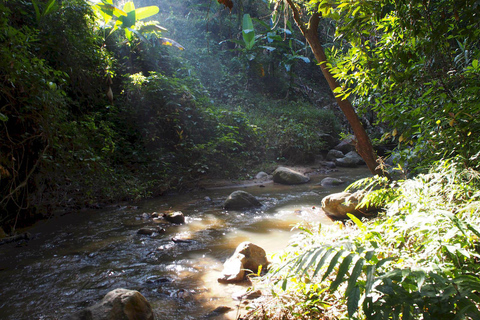 Chiang Mai: Cuevas de Chiang Dao y excursión por la selva con almuerzo