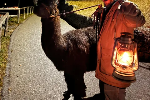 Passeio de lama guiado com um tradicional e caseiro cheesefondue