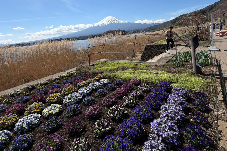 From Tokyo: Mount Fuji and Hakone Private Customizable Trip From Tokyo: Mount Fuji and Hakone Full Customizable Trip