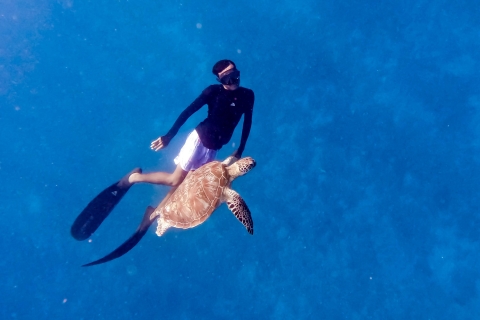 Snorkeling z żółwiem i podwodną statuą w Gilis
