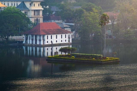 Kandy: Temple of Tooth, Train Ride, & Cave Waterfall Tour