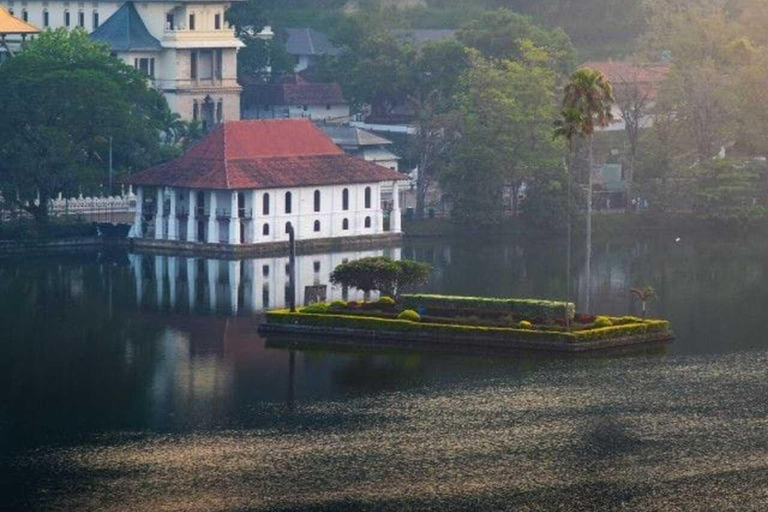 Kandy: Temple of Tooth, Train Ride, & Cave Waterfall Tour