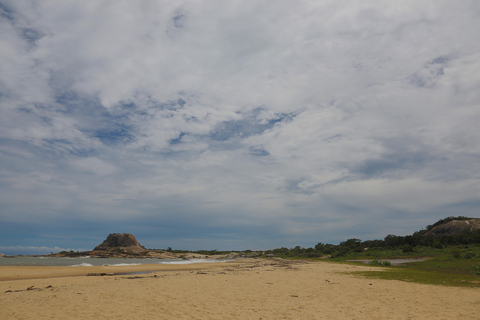 From Colombo: Yala National Park Safari Tour in a 4x4