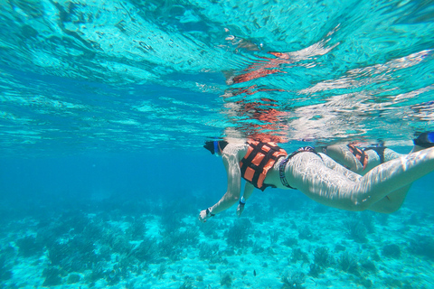 Isla Mujeres: Snorkeling Adventure at the Underwater Museum Isla Mujeres: Snorkeling Tour at the Underwater Museum