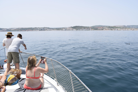 Estepona: Dolphins Searching Sea Cruise with Drink & Snacks Group Cruise