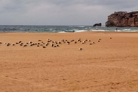 From Lisbon: Nazare and Sintra Private Tour From Lisbon: Sintra and Nazare Private Tour