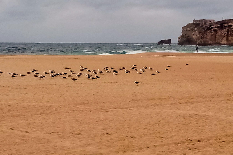 From Lisbon: Nazare and Sintra Private Tour From Lisbon: Sintra and Nazare Private Tour