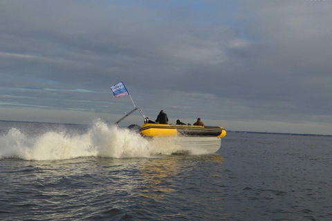 Speedboat trip around Sète Speedboat excursion à Sète