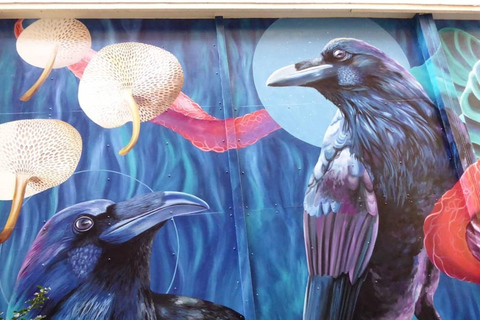 The Hague: a guided tour in French, mixing Street Art and History The Hague: Private Guided Tour in French, Combining Street Art and History