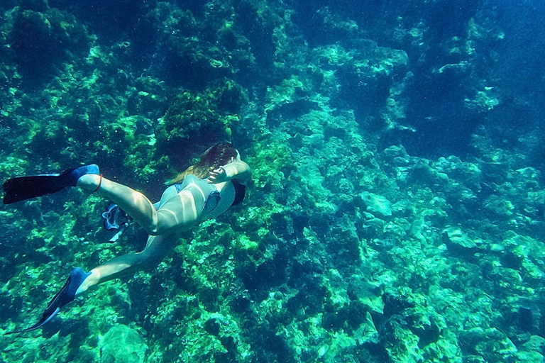 Coasteering IbizaCoasteering à Ibiza