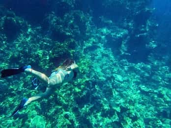 Ibiza: Excursão guiada de snorkeling