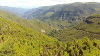 Bica da Cana Sunrise Tour con desayuno incluido - Housity