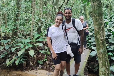 4x4 Tijuca National park - Rio de Janeiro