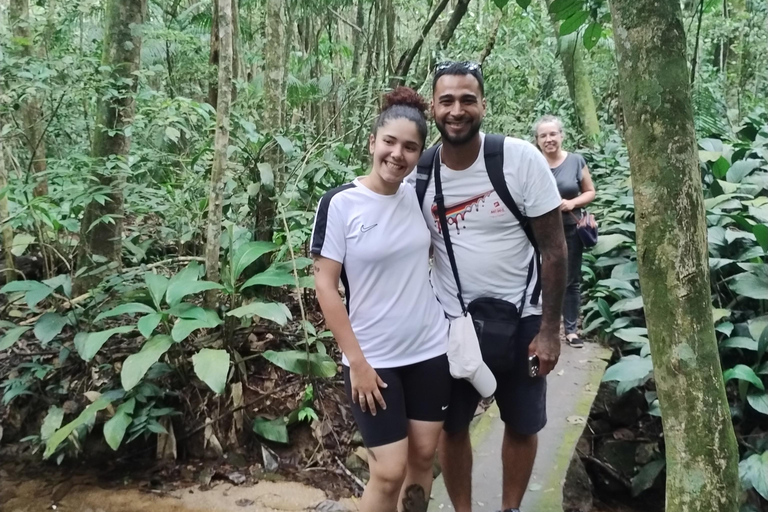 4x4 Tijuca National park - Rio de Janeiro