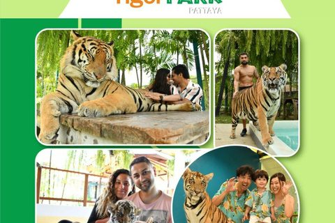 芭堤雅私人一日游：城市观光和热门景点芭堤雅日落和夜生活之旅：卡巴莱表演和泰式按摩