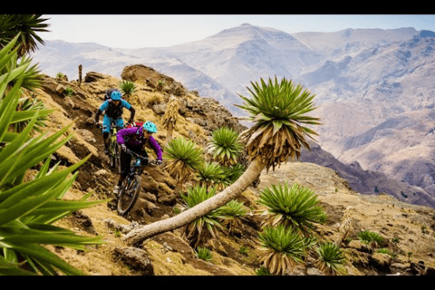 Äthiopien: 8-tägiges Rad- und WanderabenteuerÄthiopien: 8-tägiges Fahrrad- und Wanderabenteuer