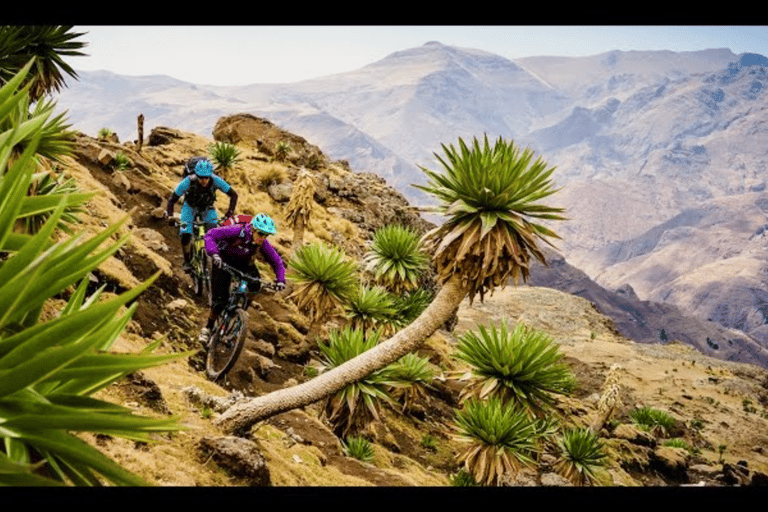 Äthiopien: 8-tägiges Rad- und WanderabenteuerÄthiopien: 8-tägiges Fahrrad- und Wanderabenteuer