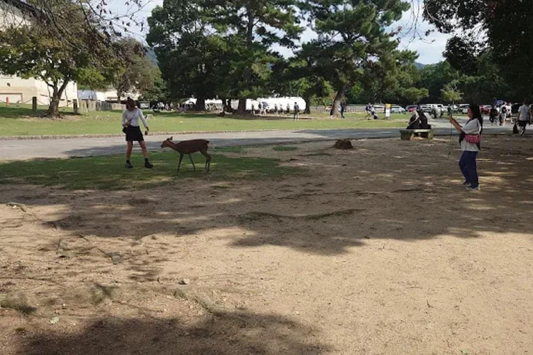 Osaka: Discovering Nara Timeless Grace Guided Tour