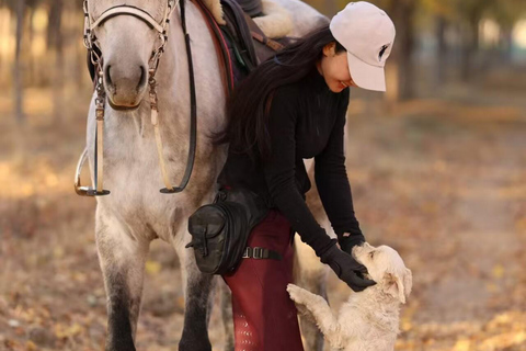 Beijing Overnight Layover: Countryside Horse Riding Tour Afternoon: 2-hour Horseback Riding Experience with Dinner