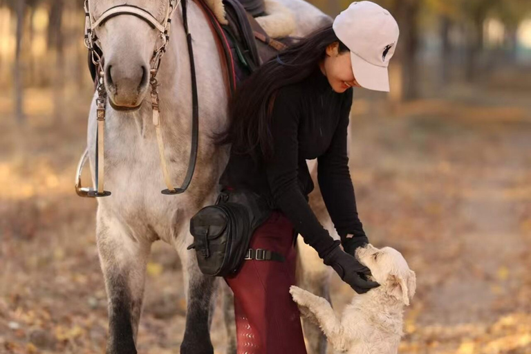 Beijing Overnight Layover: Countryside Horse Riding Tour Afternoon: 2-hour Horseback Riding Experience with Dinner
