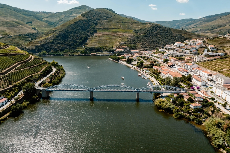 Porto: Douro-vallei privéboot- en treintour met lunch