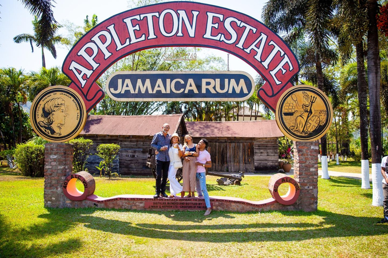 蒙特哥湾/尼格瑞尔阿普尔顿朗姆酒之旅（Appleton Rum Tour）和 YS 瀑布滑索（YS Falls Zipline