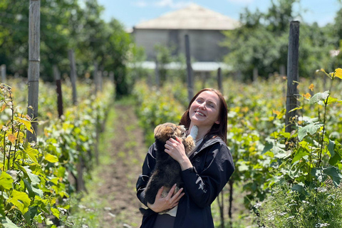 Tbilissi : Visite privée des vignobles de Kakheti avec déjeuner en famille