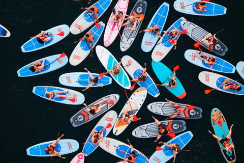 See the Sunrise in Copacabana from a Stand Up Paddleboard with Photos