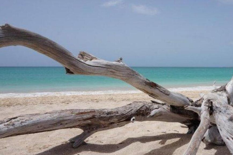Boa Vista: Excursion to the Forgotten Island with Snorkeling