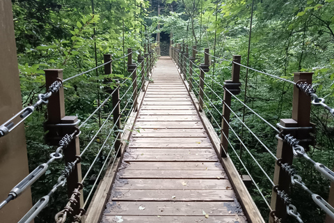 Tokyo: Mt Takao Tour with Ramen and Tattoo-Okay Hot Spring