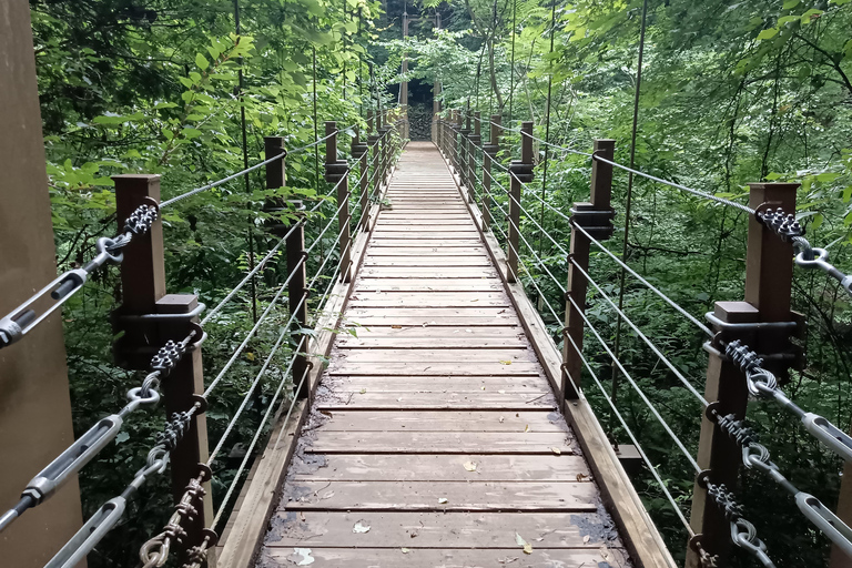 Tokyo: Mt Takao Tour with Ramen and Tattoo-Okay Hot Spring