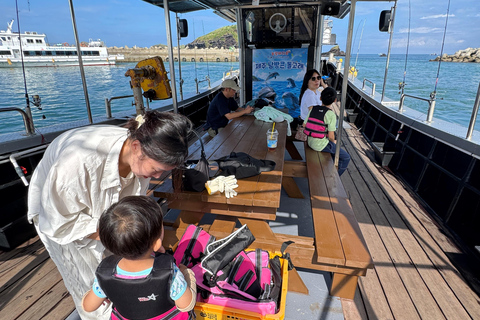 Chagwido Boat Fishing, Dolphin Watching with Local Lunch