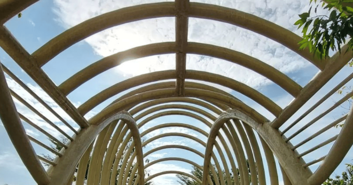 Museo Sangiran-UNESCO (Patria del Hombre de Java) | GetYourGuide