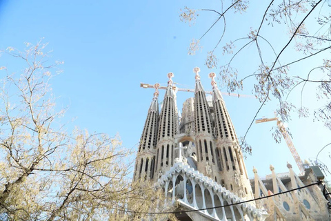 Barcelona: Sagrada Familia Skip The Line Insider Guided Tour Tour in Spanish (Monday)