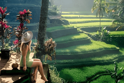 Ubud: Tour privato di templi, cascate e terrazze di risoTour di mezza giornata privato di Ubud 5-6 ore