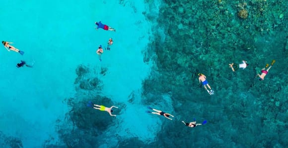 Zanzibar: Chumbe Island coral reef w. Lunch