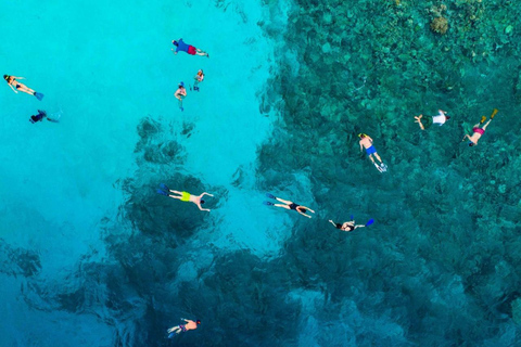 Zanzibar: Chumbe Island coral reef w. Lunch PRIVATE TOUR WITH HOTEL PICK UP & DROP OFF