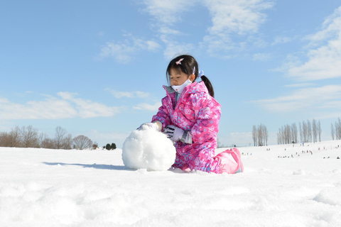 From Nagoya: Snow Day in the Japan Alps & Shirakawago Nagoya (tour + rental snow wear)