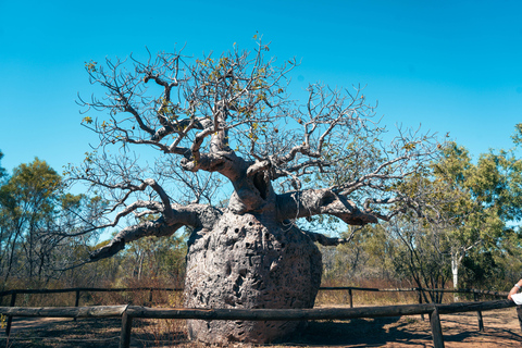 Perth to Broome 10-Day Tour via Ningaloo & Karijini