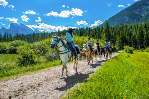 Banff National Park: 1-Hour Bow River Horseback Ride