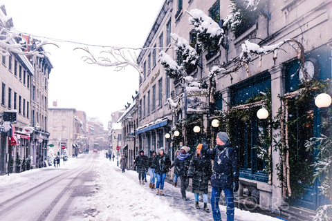 Montreal: Explore a Velha Montreal em um passeio a pé para pequenos gruposVisita guiada em inglês